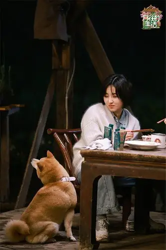 向往的生活第五季杨紫做客蘑菇屋竟成小迷糊与张子枫聊天超亲密