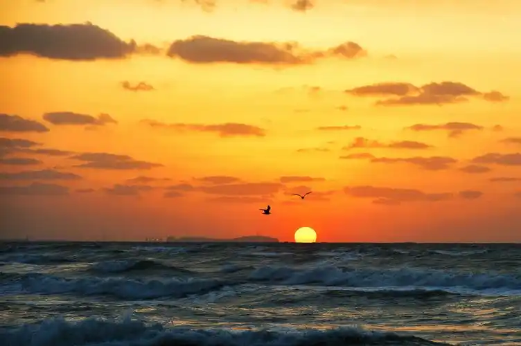 最美不过夕阳红