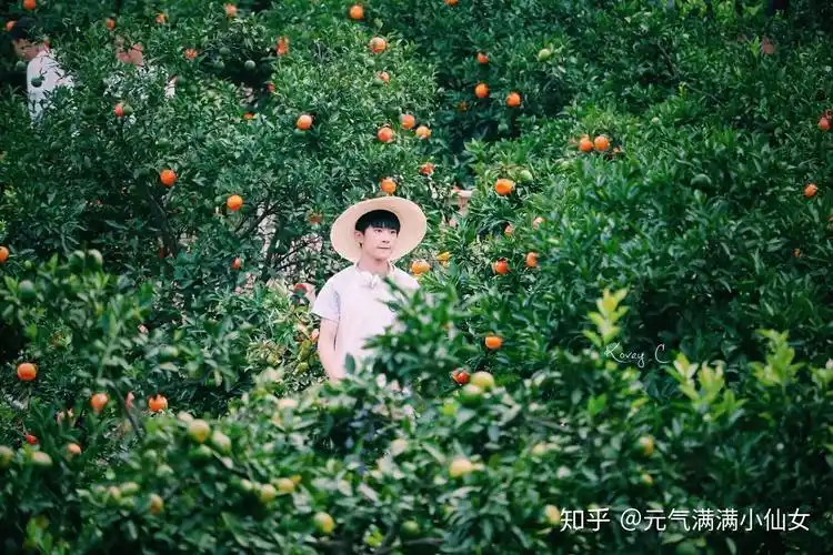 有没有易烊千玺背影图?