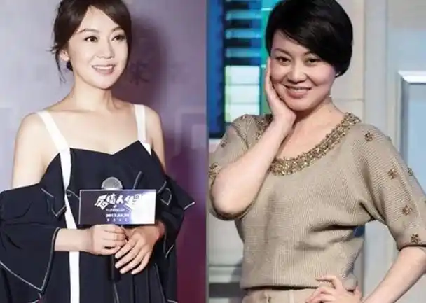 段奥娟更苗条了!脸部经过整形手术,与蒋依依神似