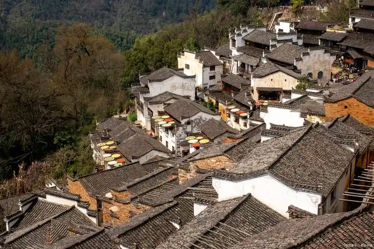 南昌出发江西三日游路线,江西旅行团旅游3天多少钱_费用_婺源_魅力