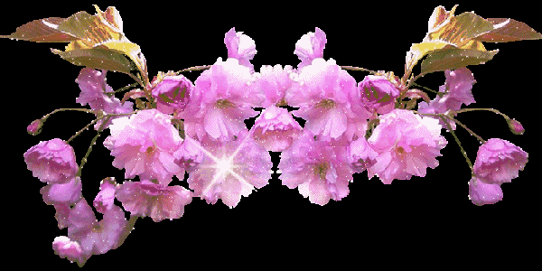 600_300gif 动态图 动图