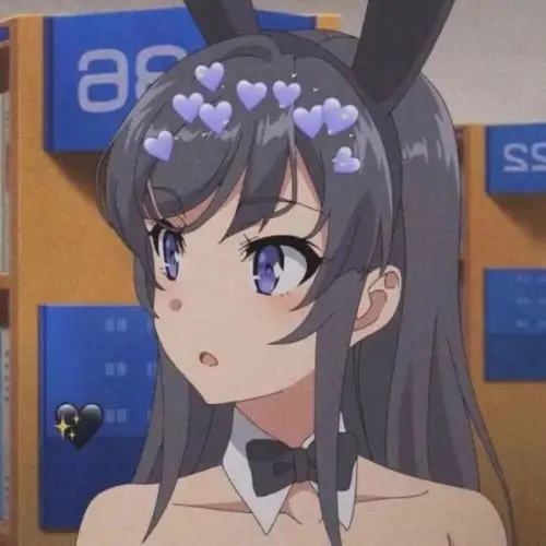 青春猪头少年不会遇到兔女郎学姐情头