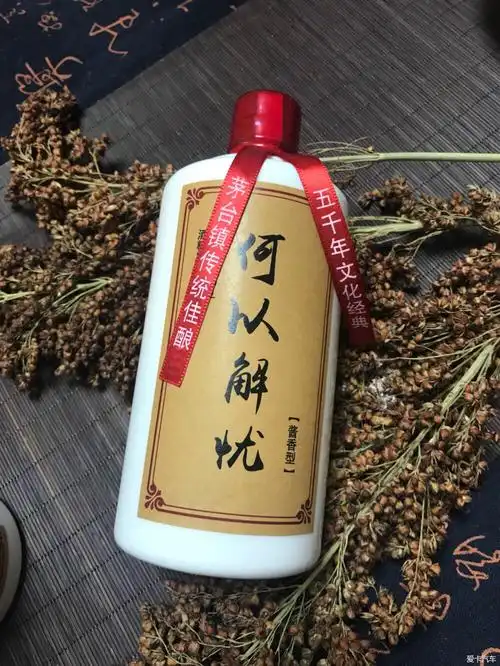 何以解忧?唯有杜康.青青子衿,悠悠我心.纵我不往,子宁不嗣音?