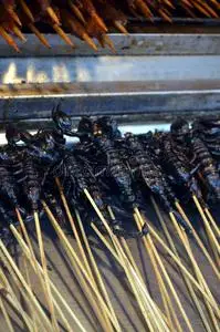 油炸蝎子中国街头食品在北京王府井大街烤蝎子作为小吃街食品在中国