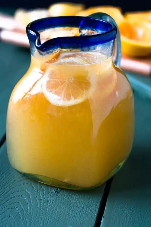 10 citrus drink recipes