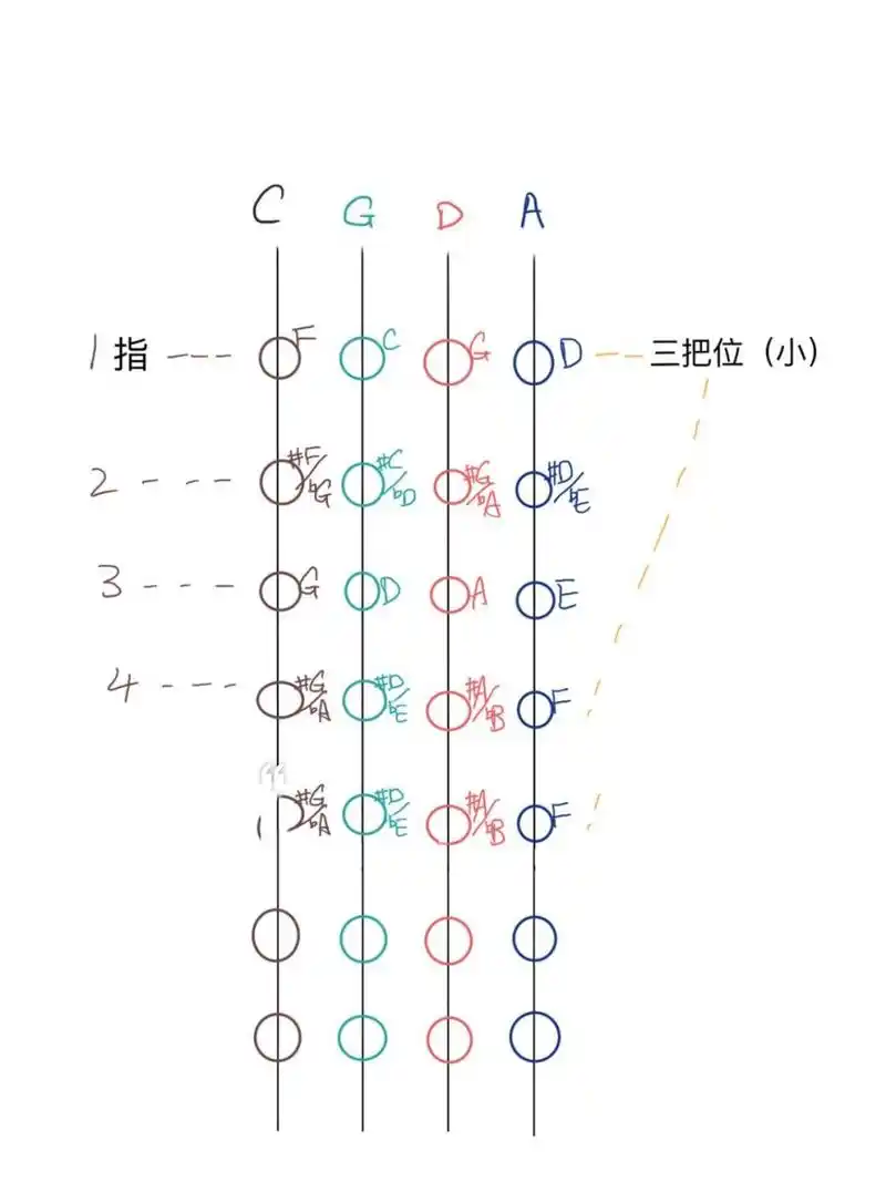【大提琴】三把位图!两种手型,入门必备 赞 收藏起来慢慢看!