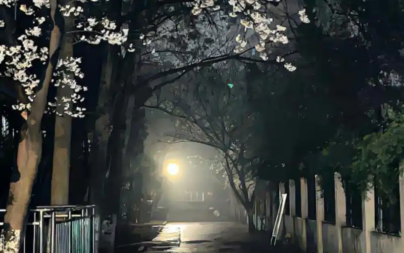 全面屏壁纸来啦