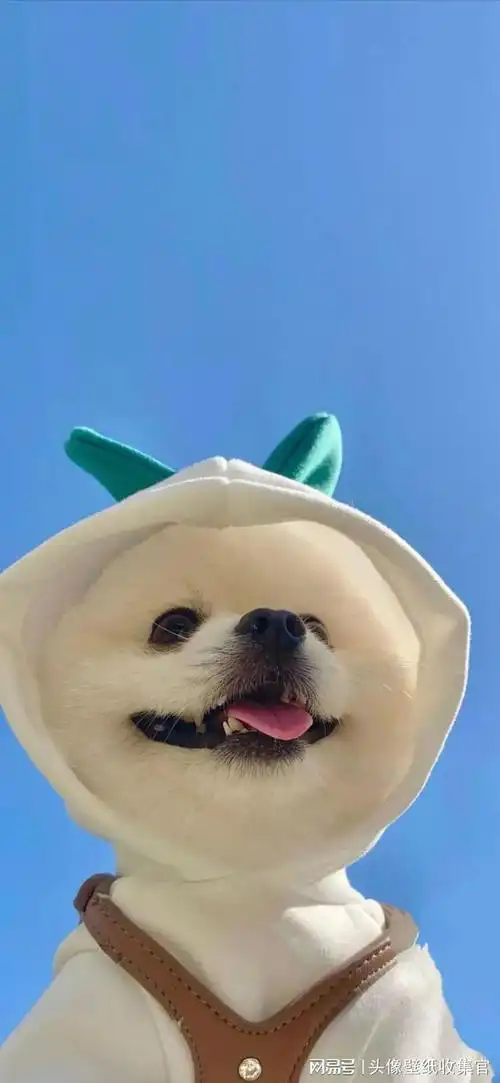 好看的全面屏手机壁纸