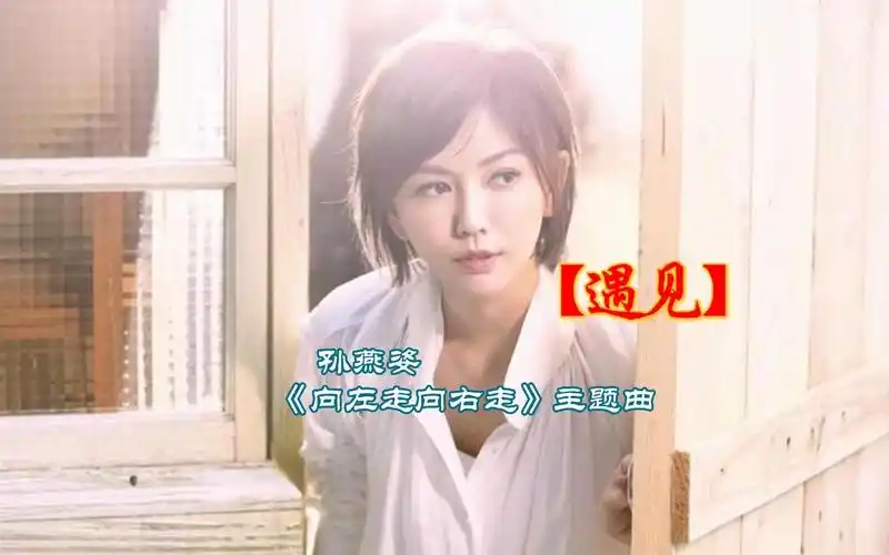 歌曲【遇见】,《向左走向右走》主题曲,孙燕姿的歌百听不腻!