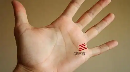 马上发大横财的手相,容易有横财的手相-相术-荣耀易学