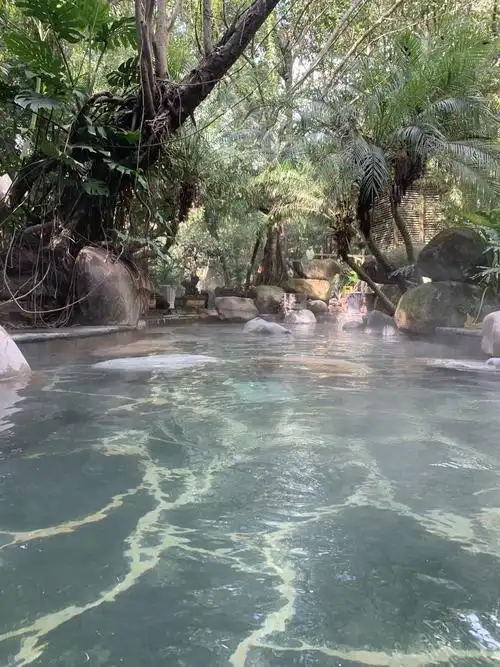 这里面泡温泉特别舒服荷花温泉也是森林温泉是天然的温泉特别别致里面