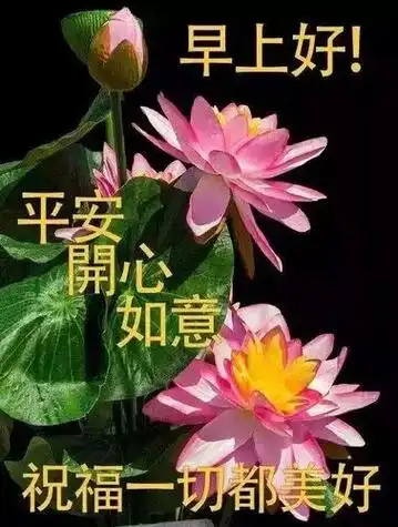 美好的一天从我的问候开始,#祝福大家都平安健康幸福快乐 #祝 - 抖音