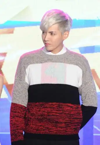 明星| 他能驾驭任何风格,有种时尚叫吴亦凡