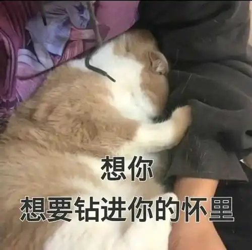 有哪些撩女朋友的表情图 ?