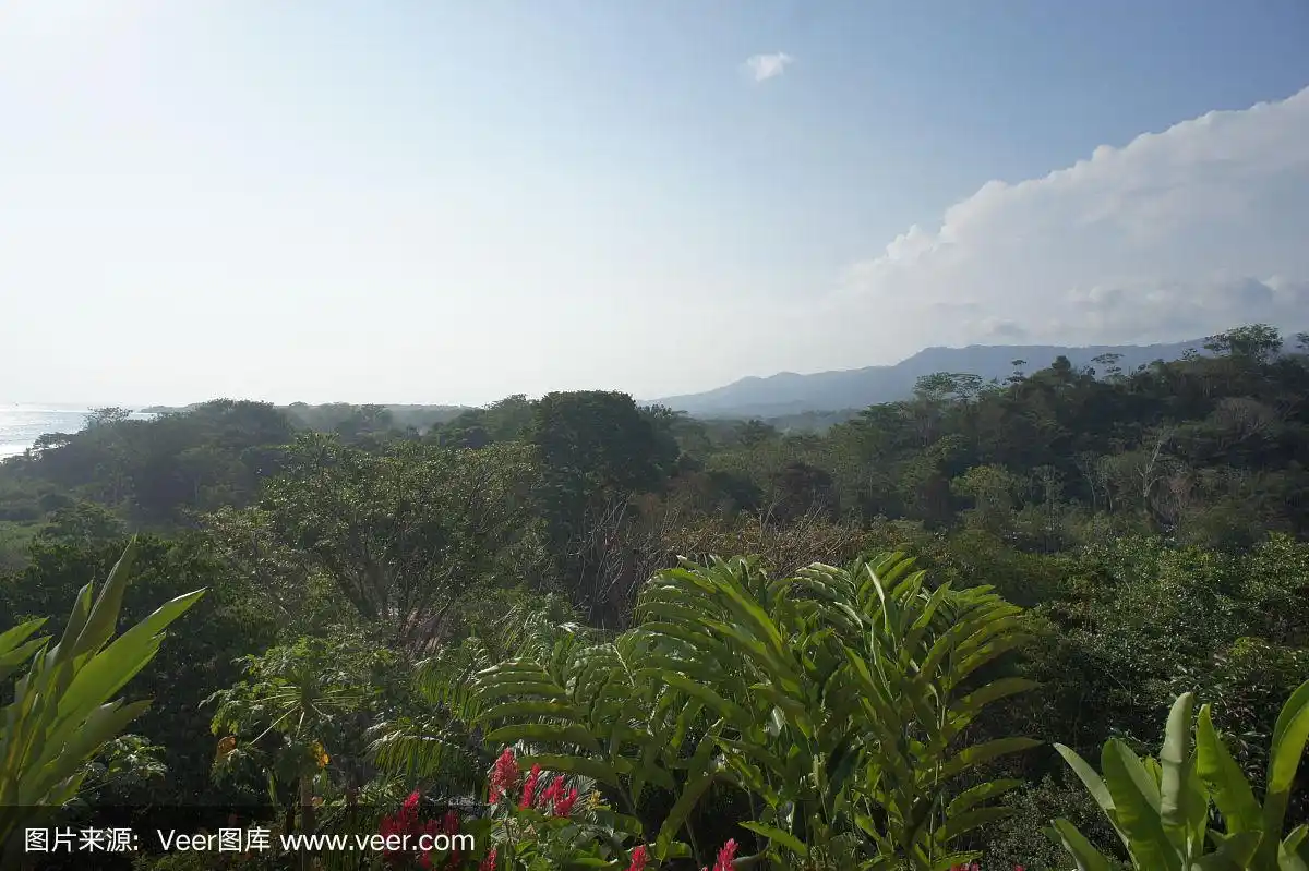 哥斯达黎加,自然,热带气候,图像,无人