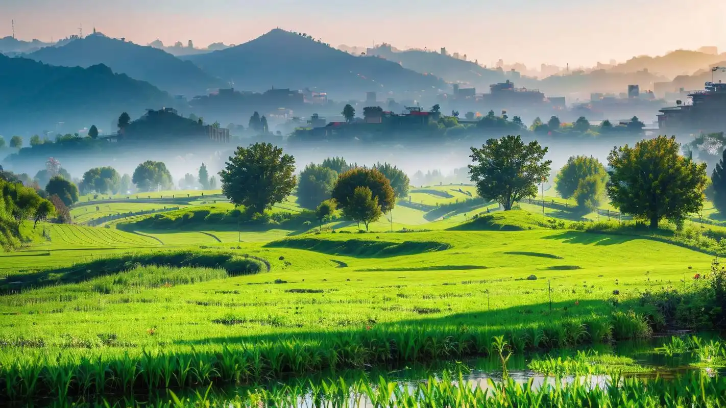 让你的桌面绿意盎然91 想要给电脑或手机换上一款清新自然的壁纸吗?