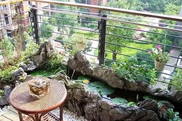 阳台建个假山鱼池网友直呼美到爆