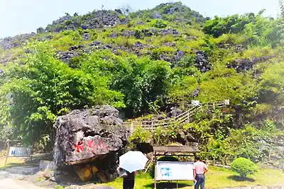 都安石头开花景区