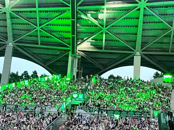 被王源的应援震撼到,围了一个圈,映绿一片天#王源绿海