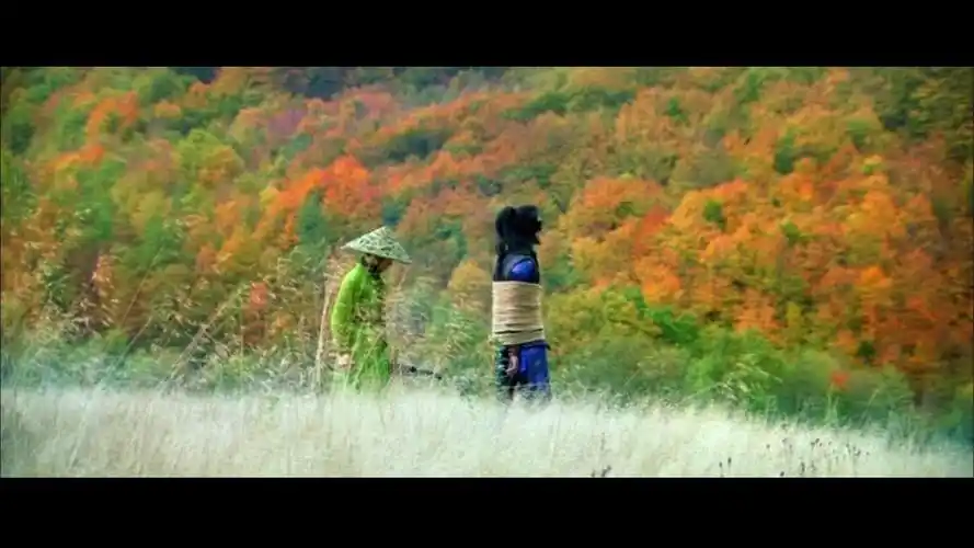 如何评价张艺谋导演的十面埋伏