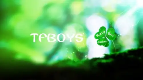 tfboys永远的四叶草