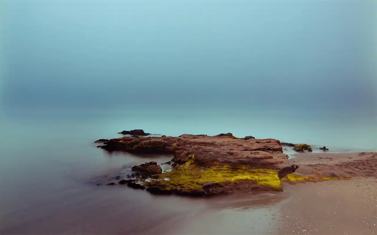 自然奇观美景森林唯美壁纸