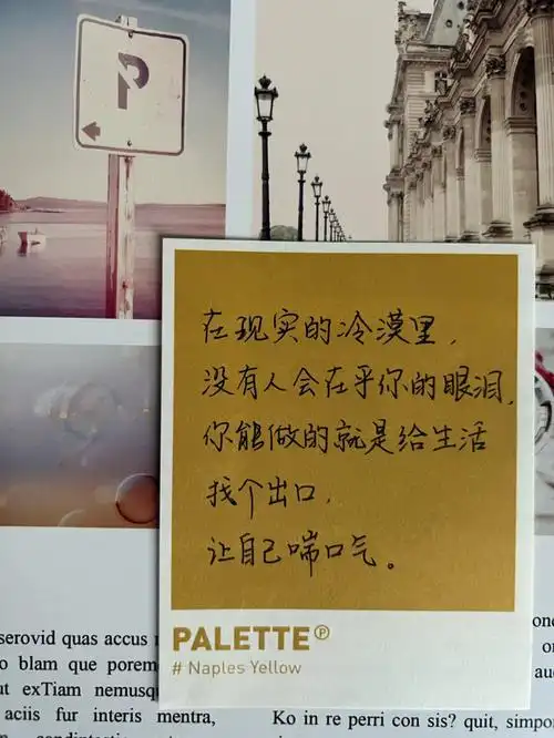 在现实的冷漠里没人在乎你的眼泪