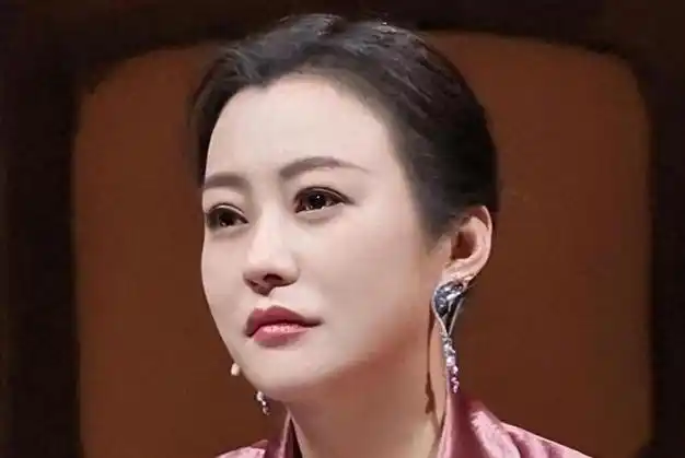 郝蕾:与刘烨离婚后,自己一人养育双胞胎儿子,如今怎么样了|女演员