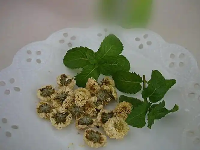 小雪到冬补忙薄荷养生更健康经常喝它提神醒脑健胃消腹胀