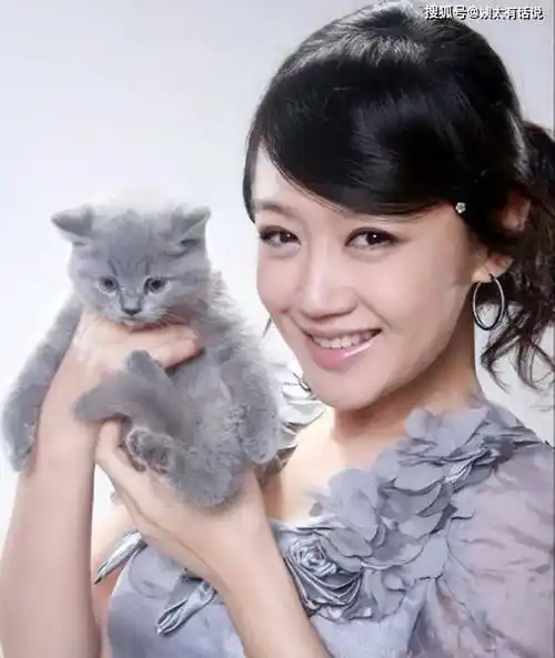 胡歌老婆翻车了?白富美是假,高学历是假?_黄曦宁_妻子_身份