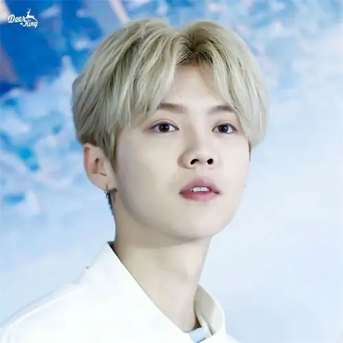 热销假发男中分韩版蓬松