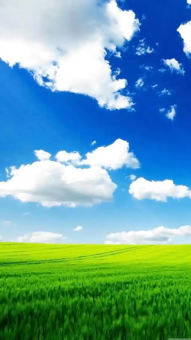 碧水蓝天,花花草草,天然风光,迷人的风景图片欣赏