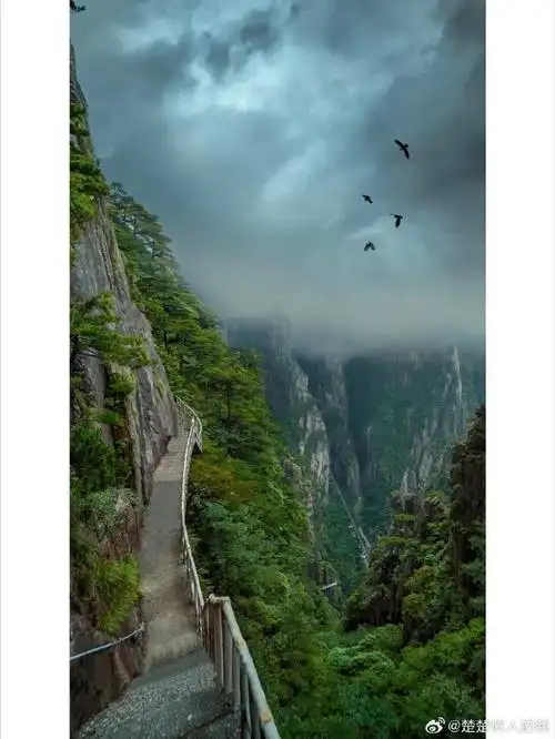 亲身感受到那壮观的云海,奇松,怪石,,你就知道中国顶级景区的含金量了