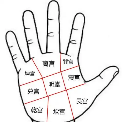 手相解读手掌上的八卦图在哪里分别代表什么