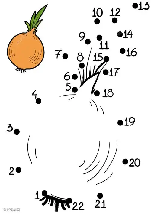 洋葱连线画图片素材