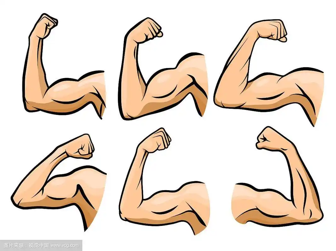 卡通手肌肉强壮的手臂拳击手的手臂