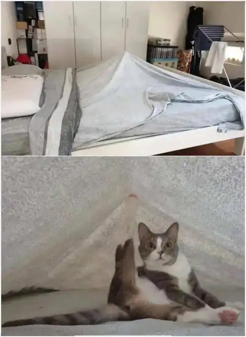 凭自己的实力撑起一个小帐篷.10给你不同的择偶建议.