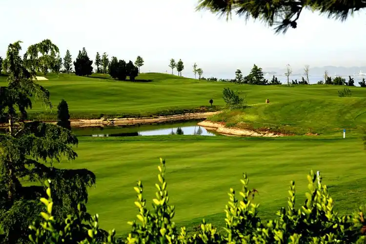 石老人高尔夫球场 一一首次尝试多重曝光