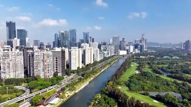 西丽湖国际科教城x9联盟第二届赛艇联赛秋季赛第二站开赛