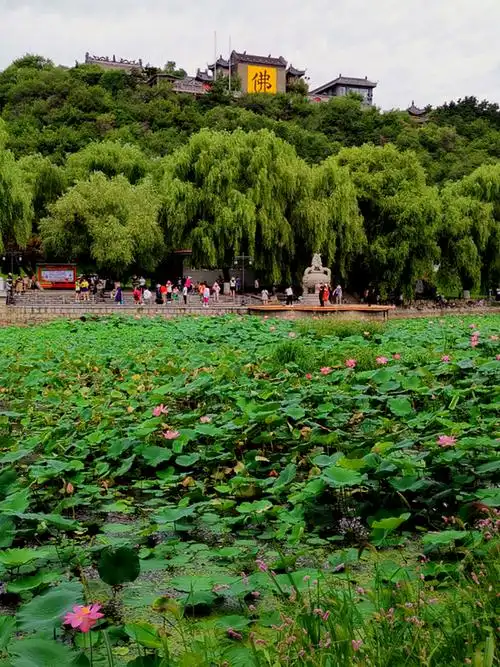 图/图虫 吉林市北山公园