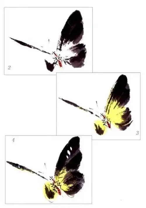 【国画教程】一学就会画写意蝴蝶_画法