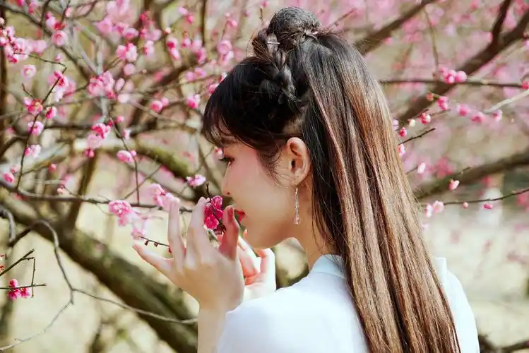 梅花古风人像摄影2019