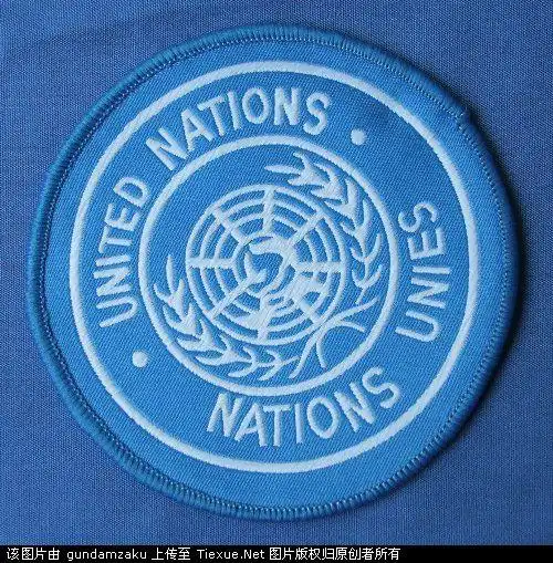 求画一画联合国维和部队臂章上有地球与橄榄枝的图案