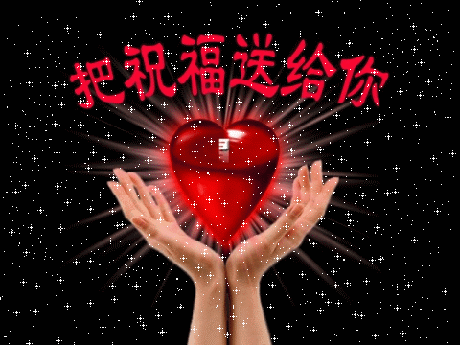 11月,送你11朵玫瑰,送你11个一,太美了!
