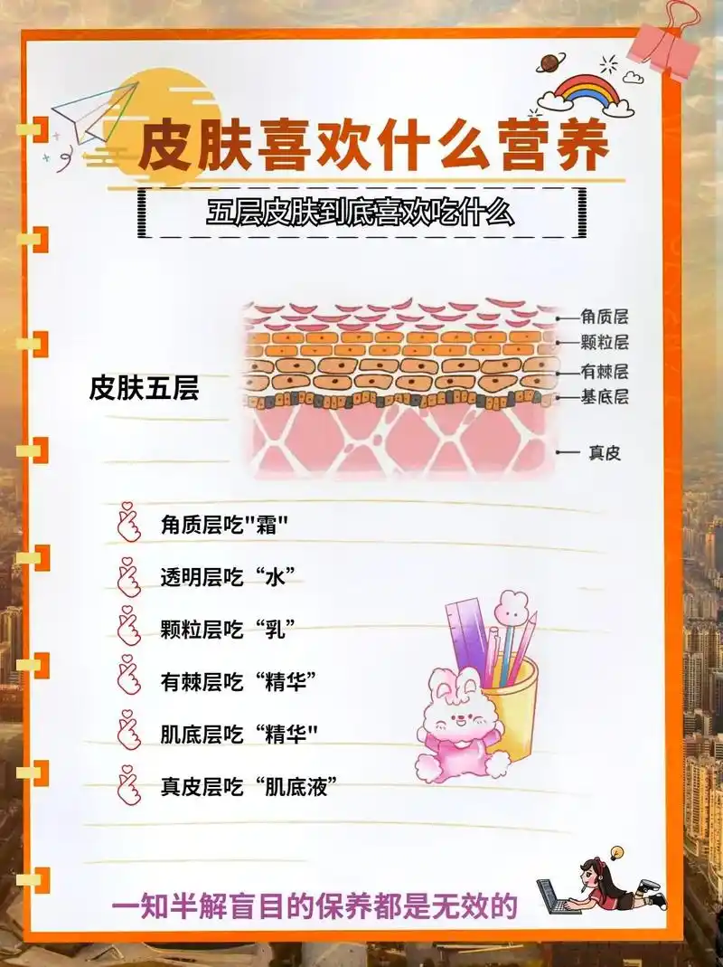 科普皮肤五层喜欢的营养99你的护肤做对了.