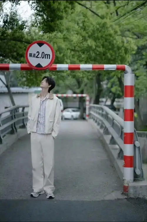 被张凌赫身高震撼的图