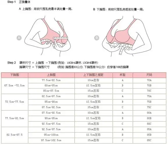 胸罩罩杯大小示意图(胸的大小怎么区分型号)