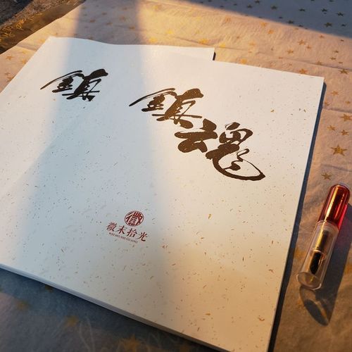 2册 镇魂朱一龙经典语录硬笔钢笔书法字帖楷书行书练字帖女生速成