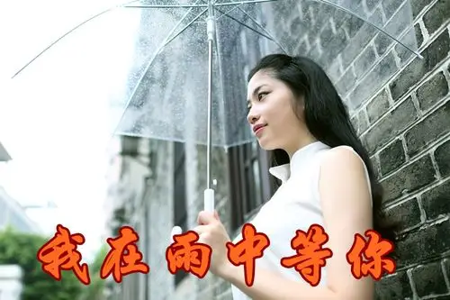 我在雨中等你